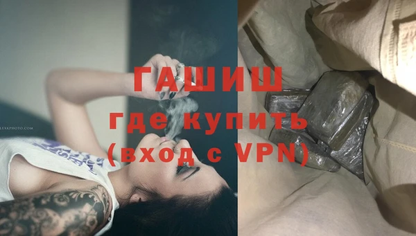 прущие грибы Горно-Алтайск
