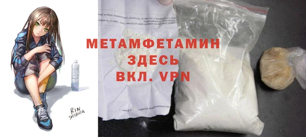 прущие грибы Горно-Алтайск