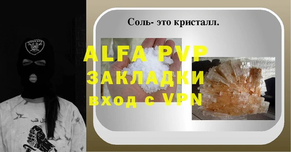 прущие грибы Горно-Алтайск