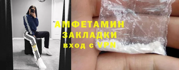 прущие грибы Горно-Алтайск