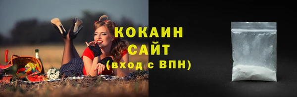 прущие грибы Горно-Алтайск