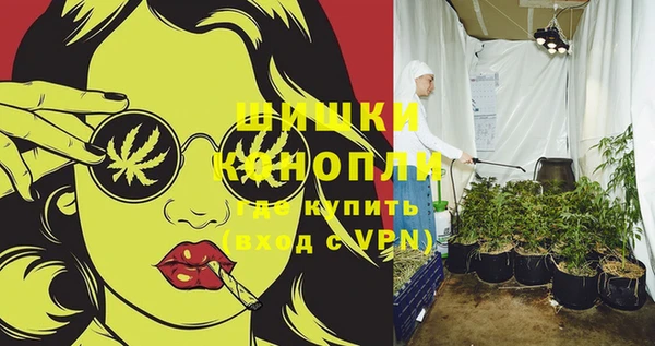 прущие грибы Горно-Алтайск